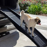 Rampe Pliable pour Grands Chiens - CJYD152146801AZ - Rampes - Chienalafolie