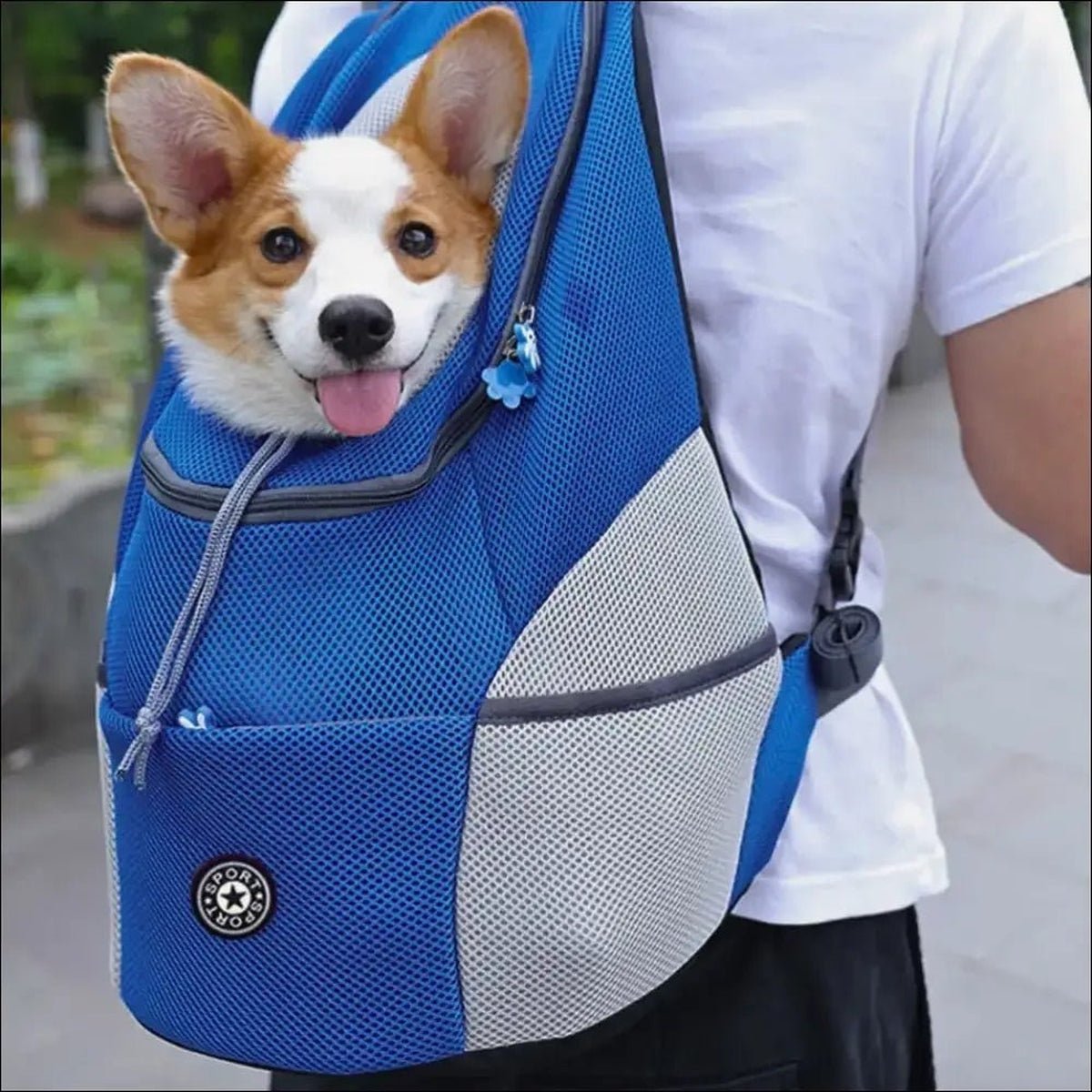 Double Shoulder Dog Carrier Backpack Chienalafolie