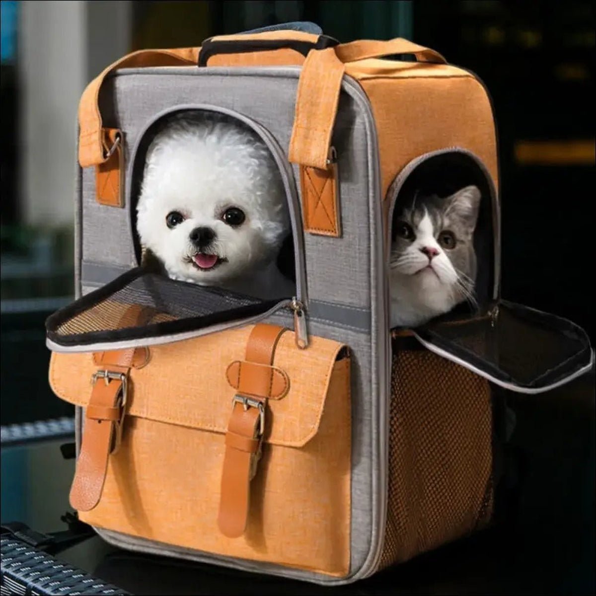 Sac à Dos Respirant Pour Petits Chiens - CJYD162864901AZ - Sacs de transport - Chienalafolie