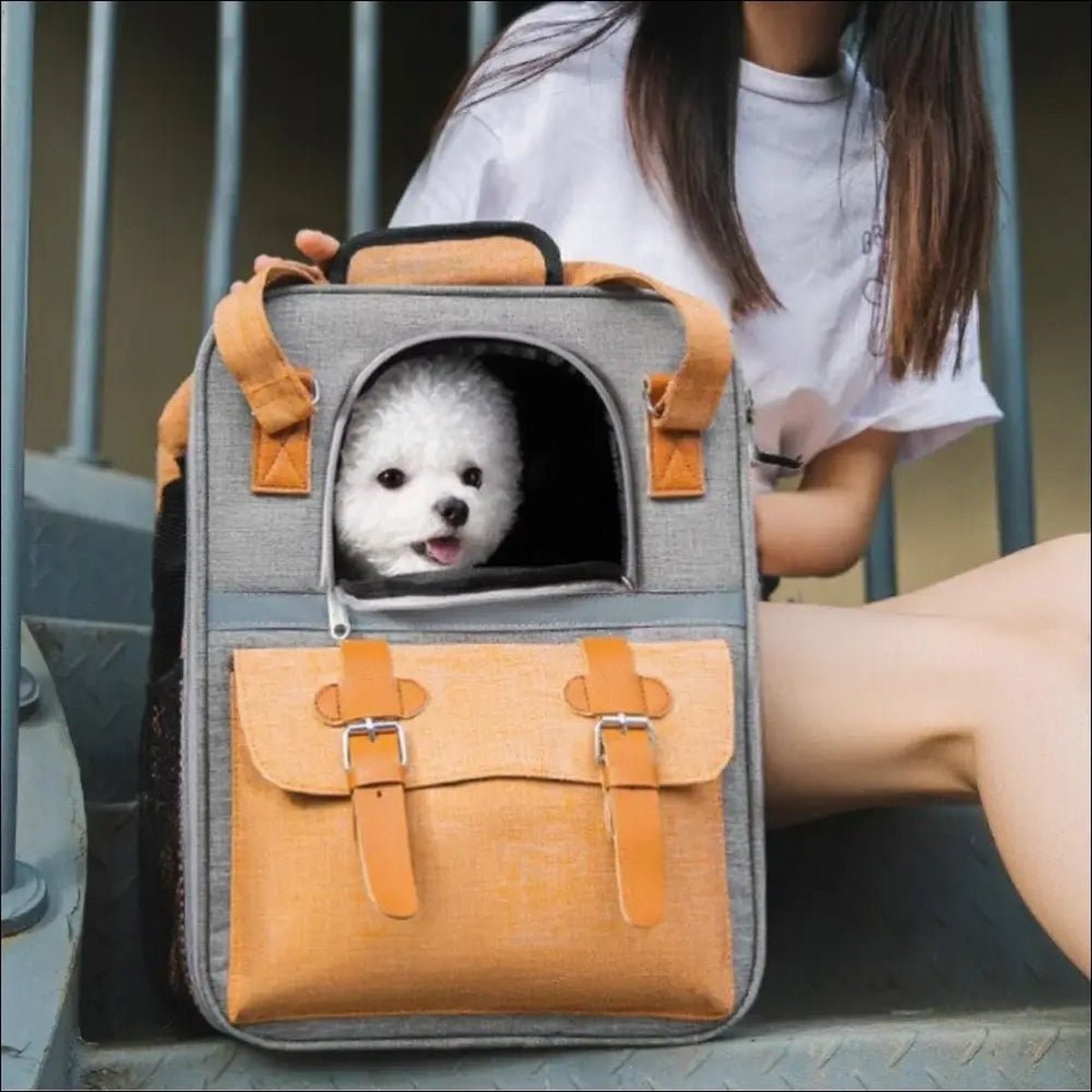Sac à Dos Respirant Pour Petits Chiens - CJYD162864901AZ - Sacs de transport - Chienalafolie