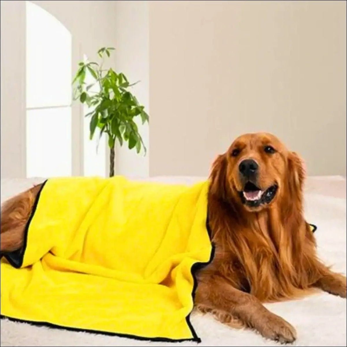 Serviette Microfibre Pour Chien Dogtowel - CJGY163863102BY - Serviettes - Chienalafolie