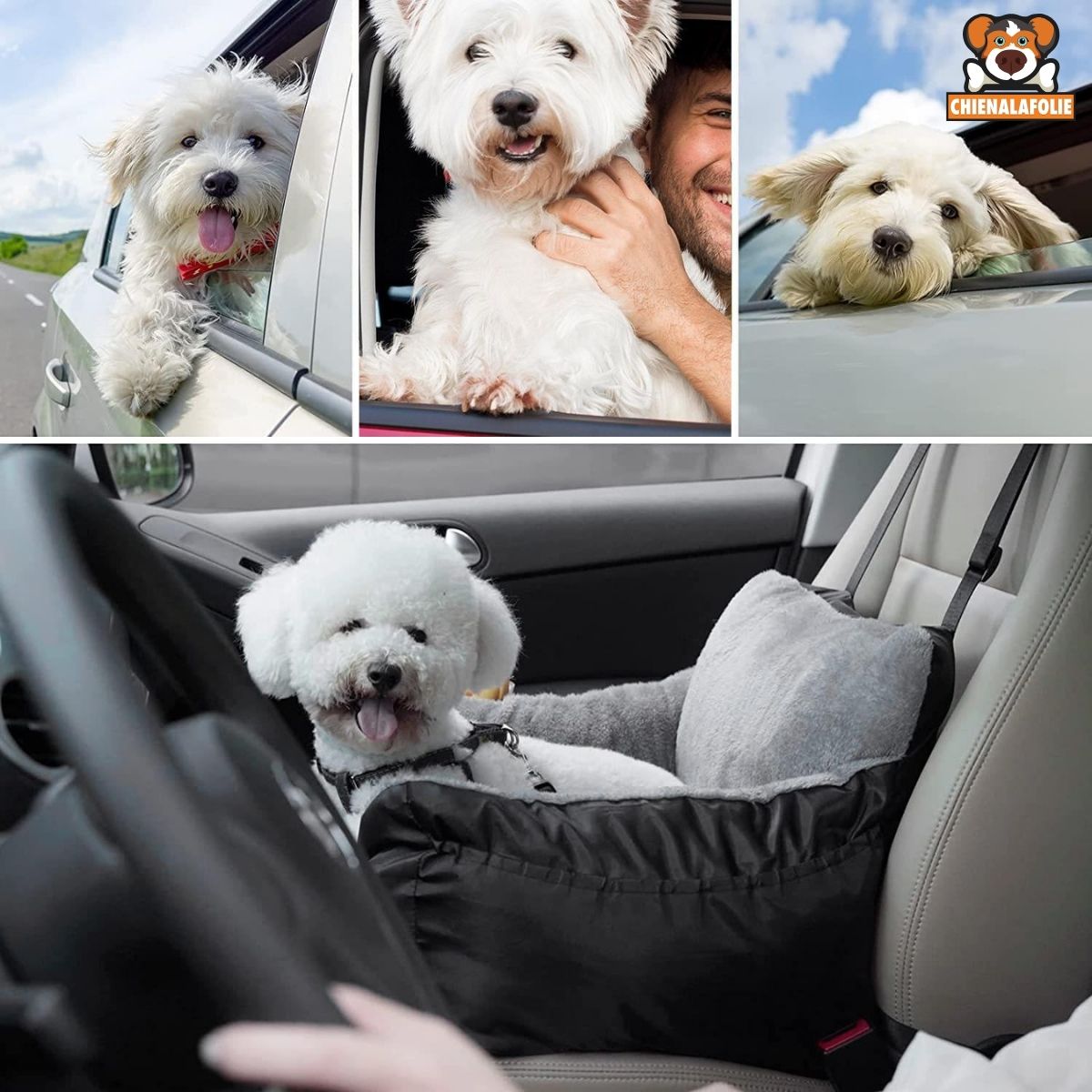 Siège de sortie pour chien de voiture - CJGY202893001AZ - Paniers - Chienalafolie