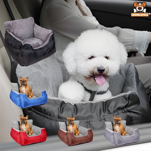 Car dog exit seat