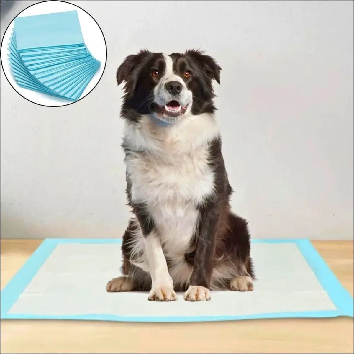 Tapis Absorbants Jetables Pour Chiens - CJJJCWGY01245 - S 100 pieces - Blue - Tapis d'entraînement - Chienalafolie