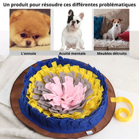 Tapis De Fouille Chien Dogsnuffle - 14:1063#Sky Blue;200007763:201336101 - Tapis de fouille - Chienalafolie