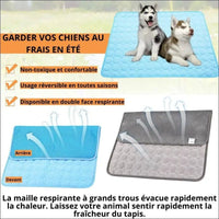 Tapis Rafraîchissant Lovelyfreshmat - CJGY114297702BY - Lits - Chienalafolie