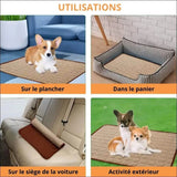 Tapis Rafraîchissant Lovelyfreshmat - CJGY114297702BY - Lits - Chienalafolie