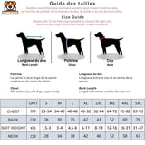 Veste de Luxe Imperméable pour Chiens - CJGD193877601AZ - Manteaux - Chienalafolie