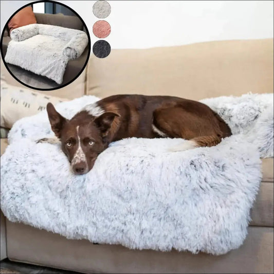 Comfortable Petcouch Sofa For Dogs