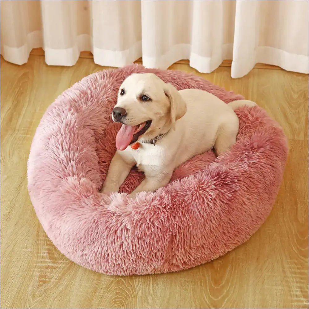Coussin Confortable Dogplace Pour Chiens - CJGY182030058FU - Chienalafolie
