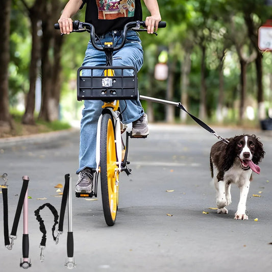 Correa de bicicleta manos libres para perros 